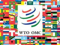 La mise à mort de l&rsquo;Organisation Mondiale du&nbsp;Commerce